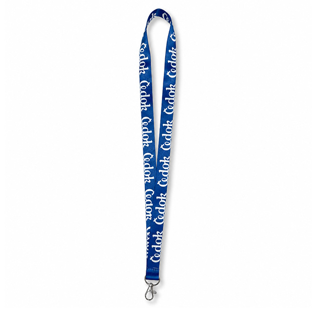 Lanyard